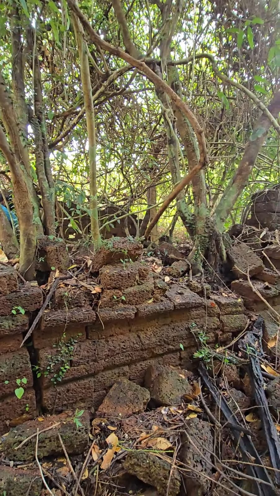ದೇವಸ್ಥಾನ ದೃಶ್ಯ 1