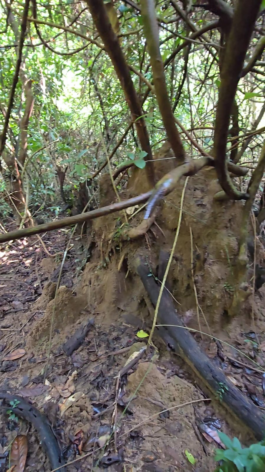 ದೇವಸ್ಥಾನ ದೃಶ್ಯ 10