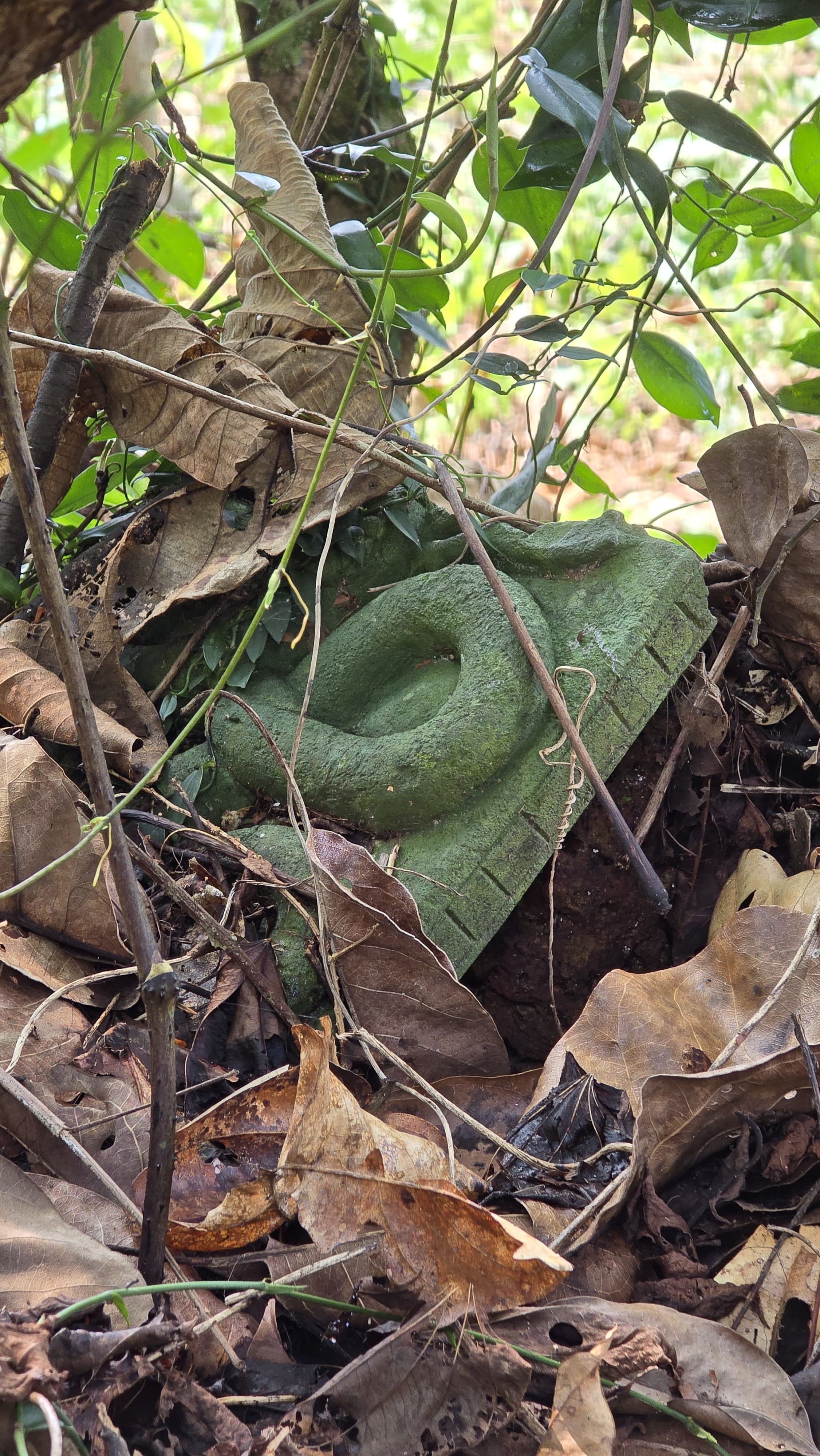 ದೇವಸ್ಥಾನ ದೃಶ್ಯ 5